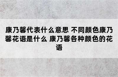 康乃馨代表什么意思 不同颜色康乃馨花语是什么 康乃馨各种颜色的花语